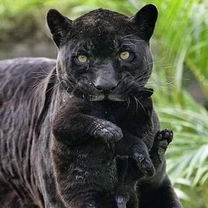 Meet your Posher, Val